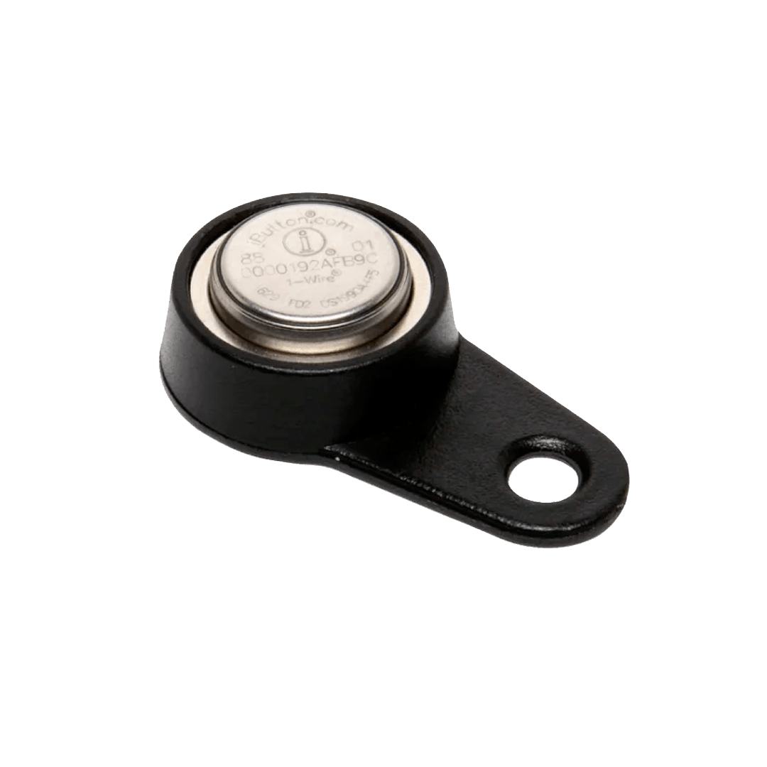 iButton
